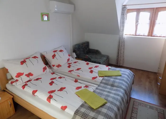 Pensjonat Katica Vendeghaz 3*